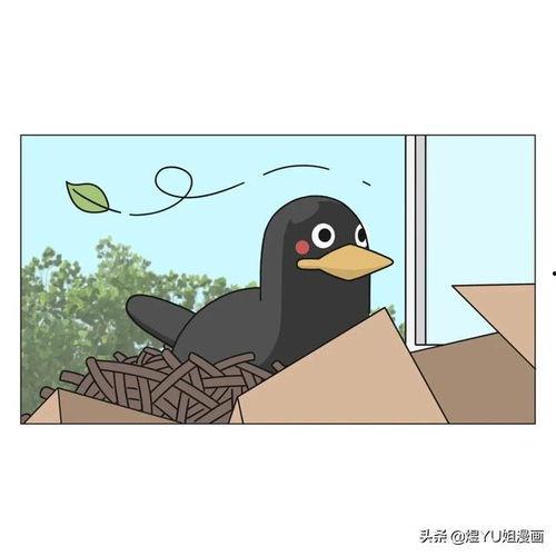 是只鸟漫画,探索是只鸟漫画的奇幻世界